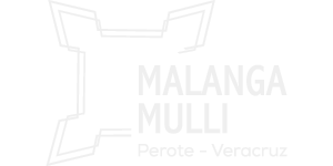 Logo Malanga Mulli