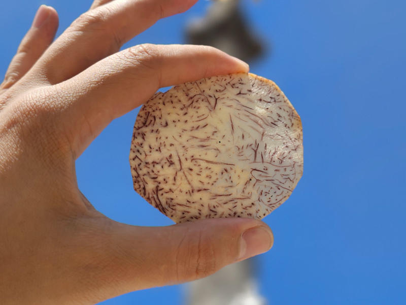 Chips de Taro Frito servidos en un tazón